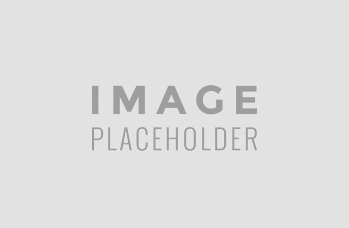 Image Alt Text
